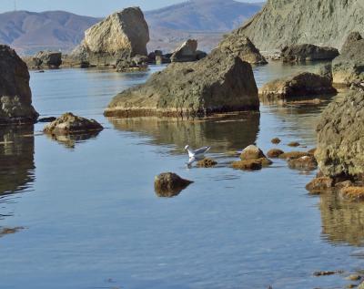 Прикрепленное изображение: DSCF7920.jpg